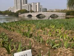 -江南大学(蠡湖校区)