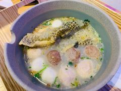 -美食小镇·观赏珍稀鸟类·长隆熊猫酒店
