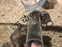 -zoonana室内动物园(东方福来德店)