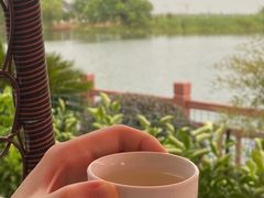 -金泽古镇