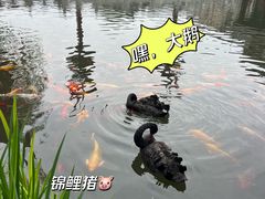-百花洲