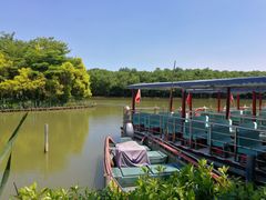 -大湾区中央湿地公园
