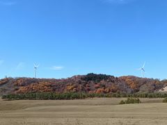 -御道口草原森林风景区