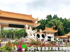 -深圳仙湖植物园