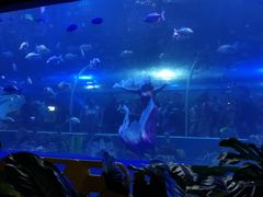 -白鹿仓冰雪海洋世界