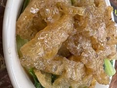 猪皮生菜-陈光记烧腊店(罗保博士街店)
