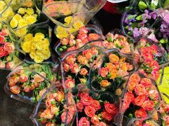 -COMMUNE幻师(花园道店)