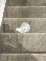 -奈尔宝家庭中心·亲子餐厅(鄞州万达店)