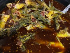 -金海椒罐罐鲢鱼(东方桂苑店)