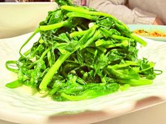豌豆苗-湖鱼湖·蓉亭食贝(亚运村店)