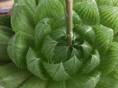 -锦绣博文幼儿园