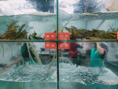 -喜欢吃鱼(非遗博览园总店)