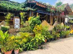 -Jungle Kitchen
