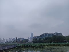 -月湖风景区