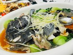 -国惠大酒楼(宝龙店)