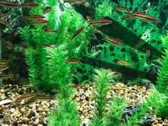 -绍兴梦享海洋公园