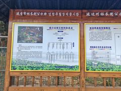 -帽儿山国家森林公园