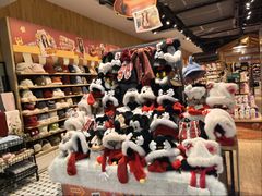 -高新活力汇Vitality