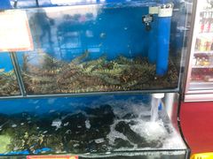 -蚝专家(北滘店)