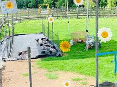 -前小桔亲子创意农场·草莓采摘·露营烧烤