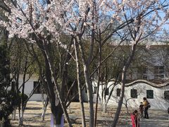 -桃花堤公园