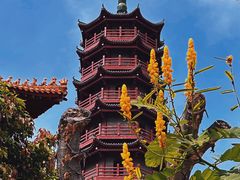 -南沙天后宫景区
