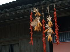 -林坑古村落