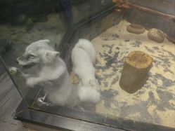 -未来动物城主题公园(正弘城店)