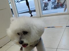 -宠福鑫康馨动物医院·骨科·眼科
