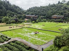 -程阳八寨景区