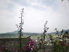 -无有景观餐厅·铜瓢牛肉·下午茶
