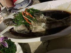 -鲤鱼塘农家山庄