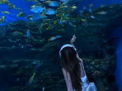 -海合安成都极地海洋公园