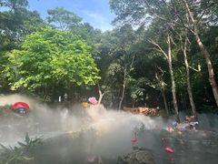 -南丹山森林王国