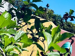 -三鹰之森吉卜力美术馆