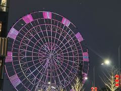 -南昌之星摩天轮