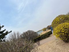 -丁香湖公园