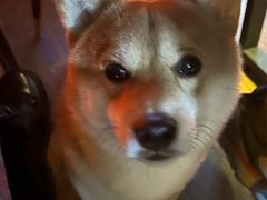 -天地無用GAME BAR