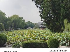 -莲池书院博物馆