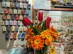 -猫的天空之城概念书店(苏州平江店)