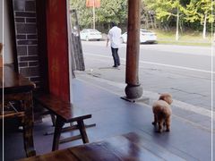 -张醪糟(街子店)