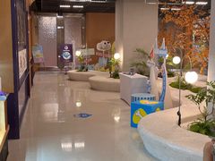 -帕帕拉兹宠物(亚洲旗舰店)