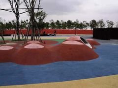 -春花秋色城市公园