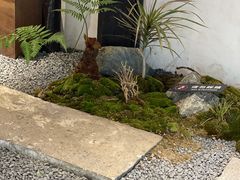 -Metal hands·铁手咖啡