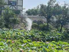 -静之湖度假区