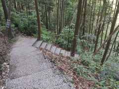 -龙湾潭国家森林公园