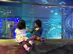 -沈阳海洋探索中心