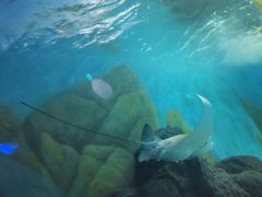 -常州海昌海洋探索馆