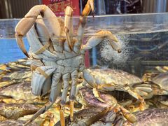 -万龙洲海鲜(南新仓店)