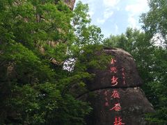 -汤旺河林海奇石景区